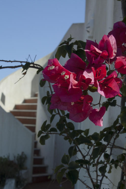 Villa Alves كارفويرو المظهر الخارجي الصورة
